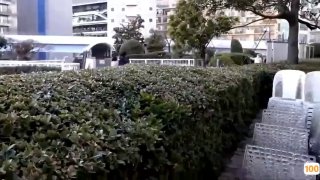 《罗马的房间》BD免费在线观看-枪战